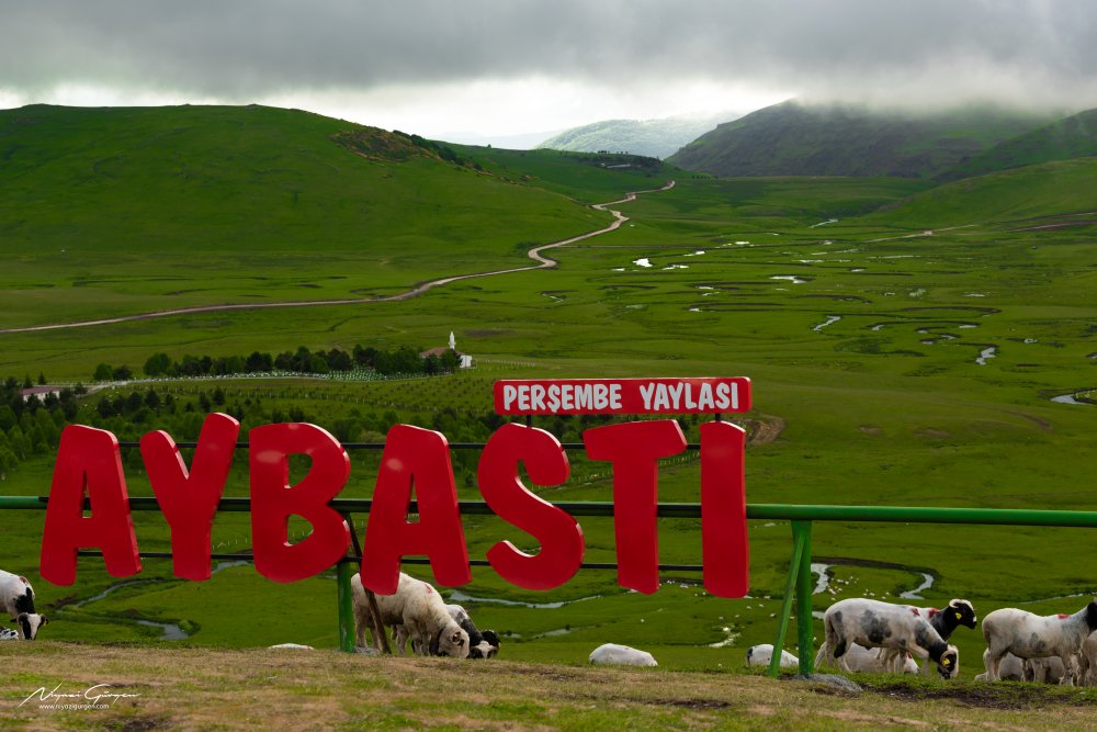 Aybastı Araç Kiralama, Havalimanı Transferi ve Gezilecek Yerler