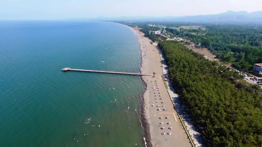 Terme Araç Kiralama: Fındık Üretimi, Karadeniz Sahili ve Güvenli Tarım Rotası