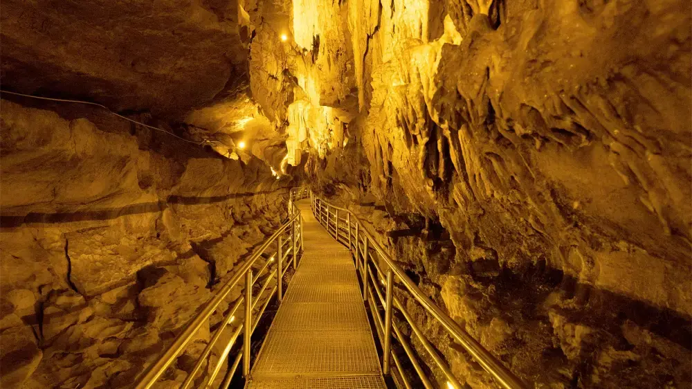 Düzköy Araç Takip Sistemi ve Gezi Rehberi