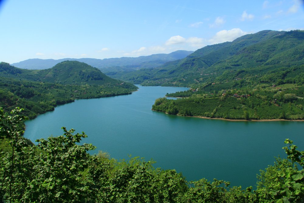 Ayvacık Araç Kiralama: Baraj Gölü, Doğa Sporları ve Güvenli Orman Rotası