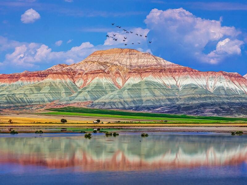 Nallıhan Araç Kiralama: Kuş Cenneti, İpek Yolu ve Güvenlik
