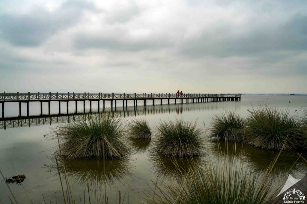 Kızılırmak Deltası Araç Kiralama