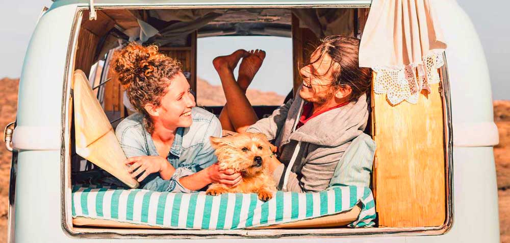 Evcil Hayvanla Seyahat Araç Kiralama İpuçları ve Konfor